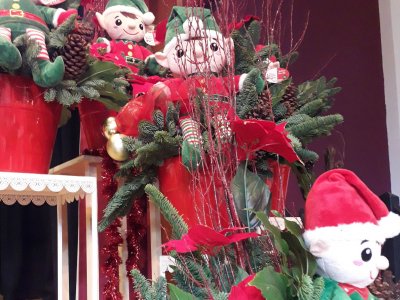 Festive Floral Demonstration with Gill McGregor